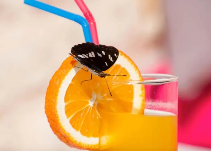 Villa Balcony - Lefkada-travel *